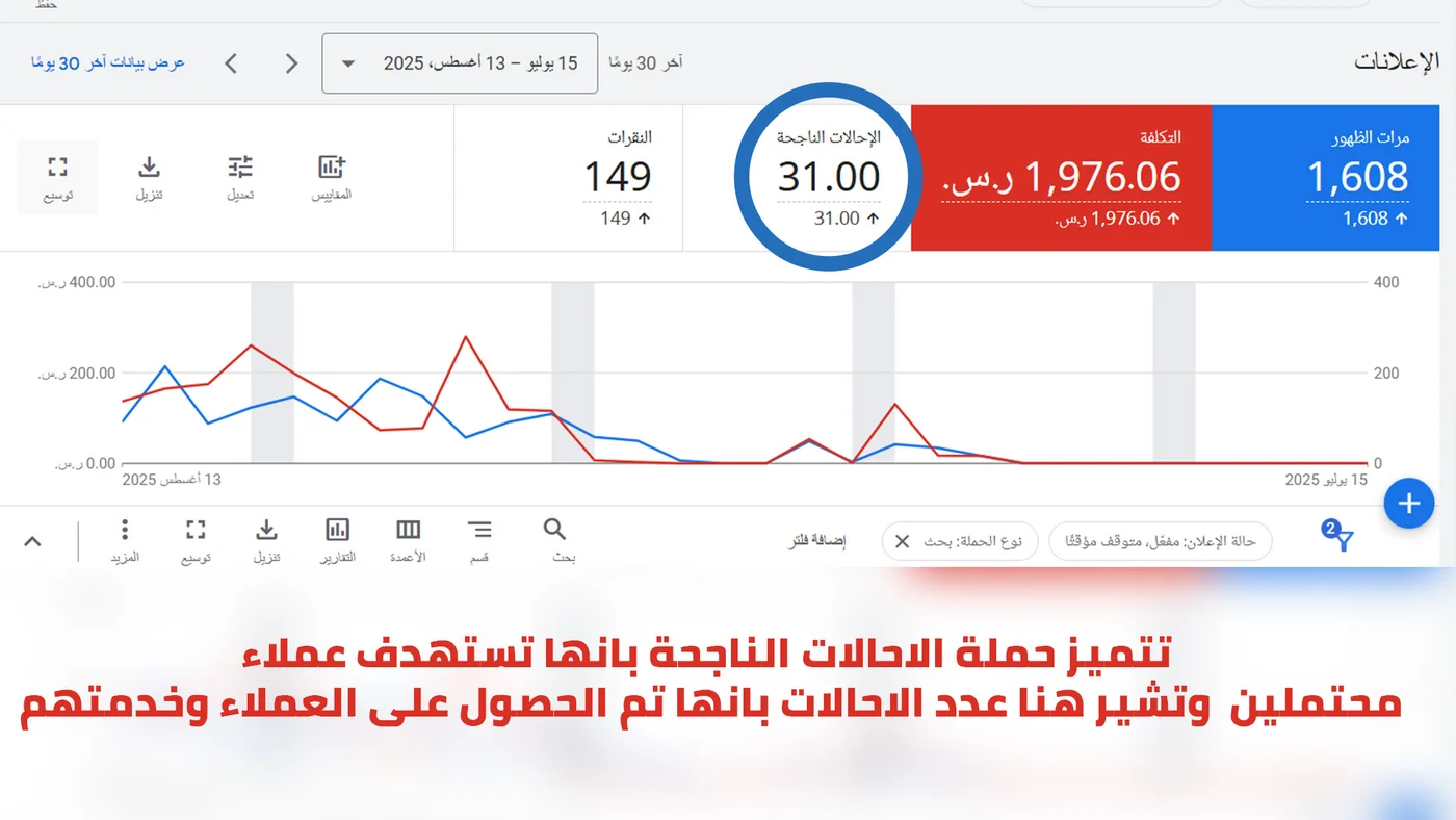 لوحة تحكم Google Ads لحملة قمة ميزاب